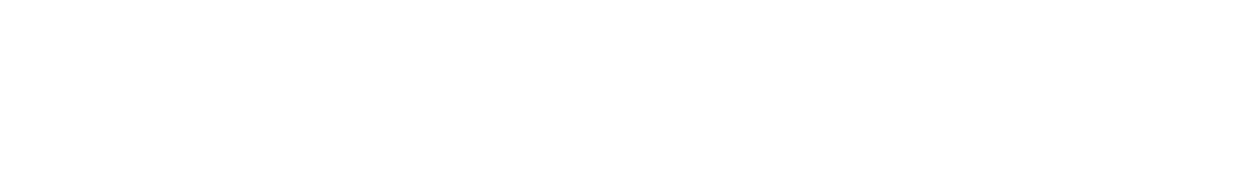 ハンス・ツィッシュラー（支配人シェーファー）