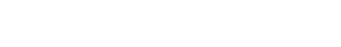 マックス・シンメルフェニッヒ（ディーター）